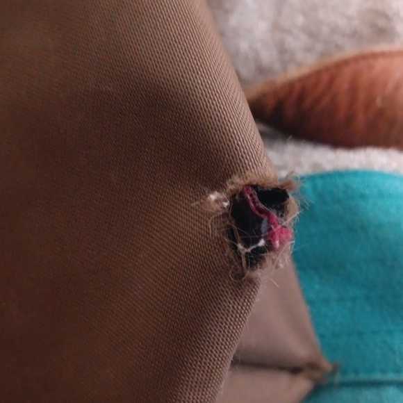 LOVED! Longchamp Olive Green Medium Tote ⚘️ - Picture 12 of 12